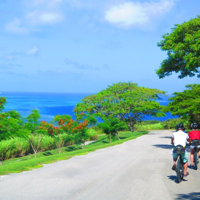 Two people riding bikes down a gorgeous road
