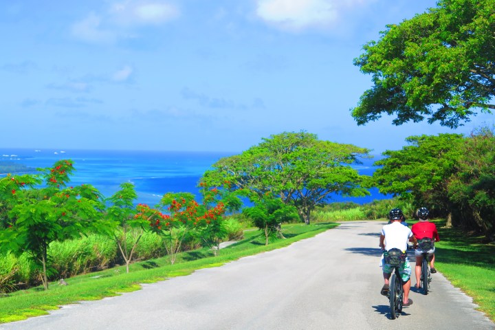Two people riding bikes down a gorgeous road