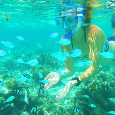 A guests playing with some fish while snorkeling