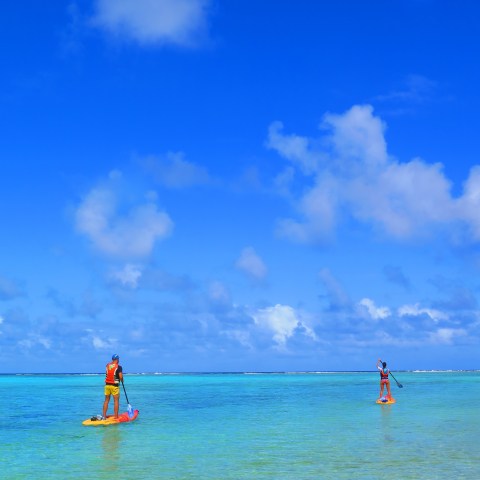 Two people enjoying their time on their SUPs